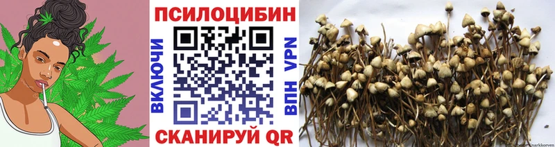 Псилоцибиновые грибы мухоморы Озёры